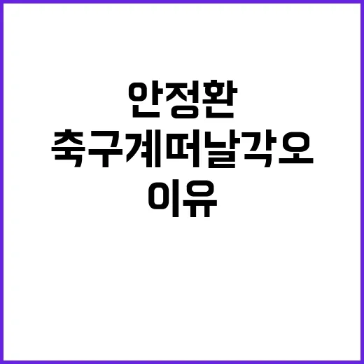 안정환이 축구계 떠날 각오까지 꺼낸 장면, 직접 보고 나니 더 묵직했던 이유 - 요약