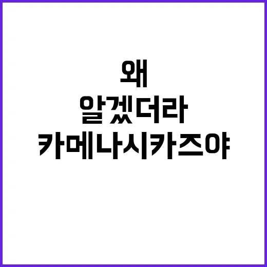 카메나시 카즈야 작품을 몰아봤더니, 왜 오래 가는 얼굴인지 조금 알겠더라 - 요약