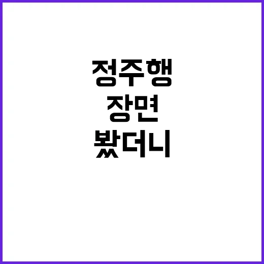 조중규라는 이름을 따라 정주행해봤더니 남는 장면들 - 요약