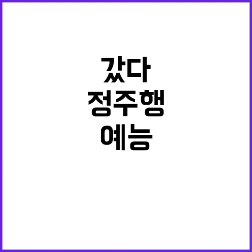 몬스터볼아이스 먹으면서 예능 정주행해봤더니 화면보다 손이 먼저 갔다 - 요약