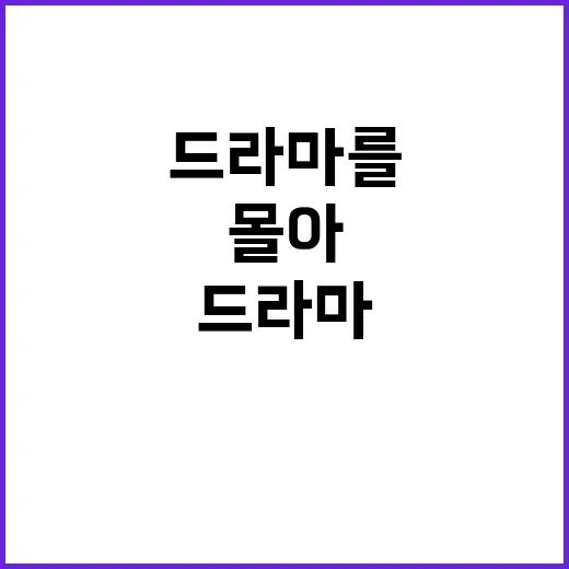 최정원 드라마를 다시 몰아봤더니, 생각보다 취향이 또렷했다 - 요약