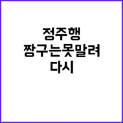 짱구는 못말려를 다시 정주행해봤더니 웃긴 줄만 알았던 가족 예능이었다 - 요약