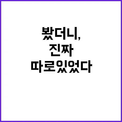 파주엄마손만두 문제라는 키워드를 따라가 봤더니, 진짜 걸리는 건 따로 있었다 - 요약