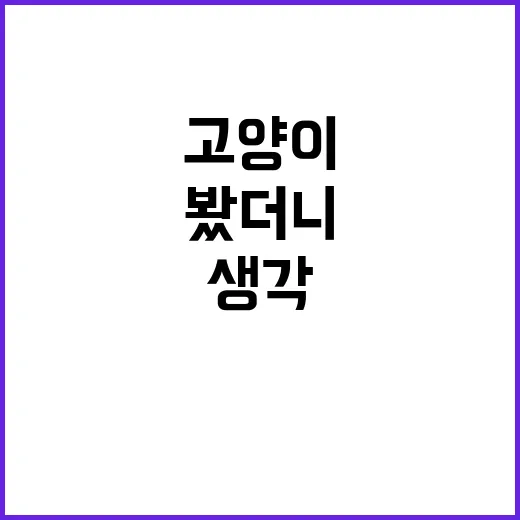 담배고양이 정주행해봤더니, 이상하게 계속 생각나는 이유 - 요약
