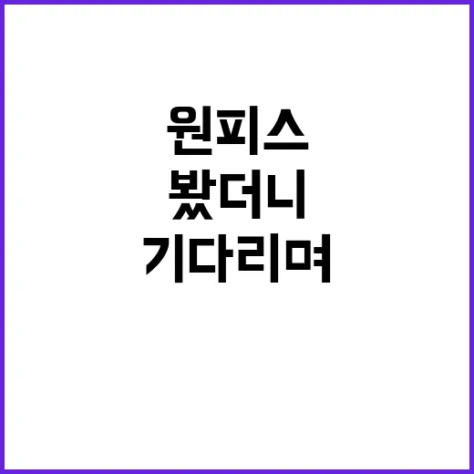 원피스 1188화 기다리며 최근 전개를 다시 달려봤더니 보이는 것들 - 요약
