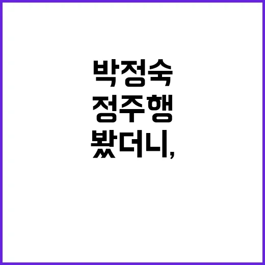 박정숙이라는 이름을 따라 정주행해봤더니, 결국 사람 보는 재미가 남았다 - 요약