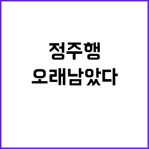 백화살 정주행해봤더니, 조용히 꽂히는 장면들이 더 오래 남았다 - 요약