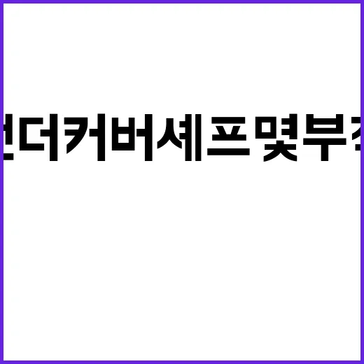 언더커버 셰프 몇부작인지 찾아봤더니, 아직 더 궁금해지는 tvN 새 예능 후기식 체크 - 요약