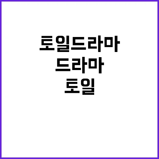 토일드라마를 몇 주 연속 챙겨봤더니 보이는 진짜 재미 포인트 - 요약
