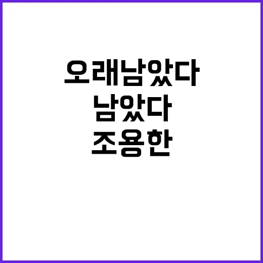 권경하를 따라 정주행해봤더니, 조용한 장면이 더 오래 남았다 - 요약