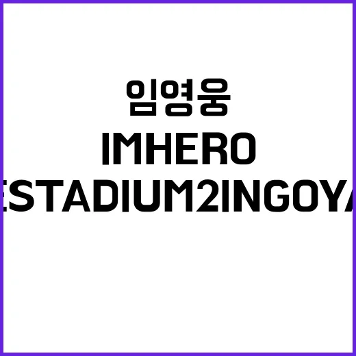 임영웅 IM HERO THE STADIUM 2 IN GOYANG 기본정보 찾아보다가 괜히 설렌 후기 - 요약