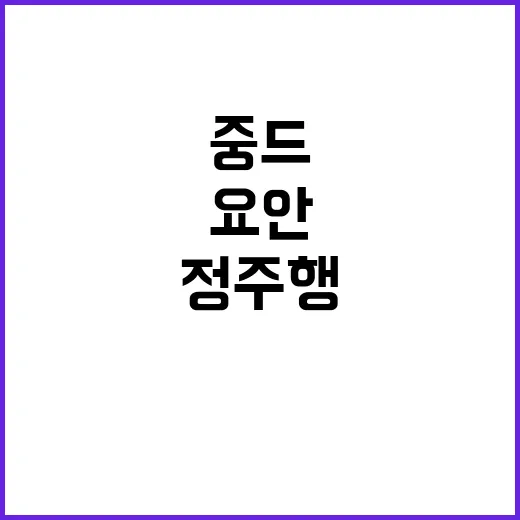 중드 요안 정주행해봤더니, 사건보다 분위기가 더 오래 남는 이야기 - 요약