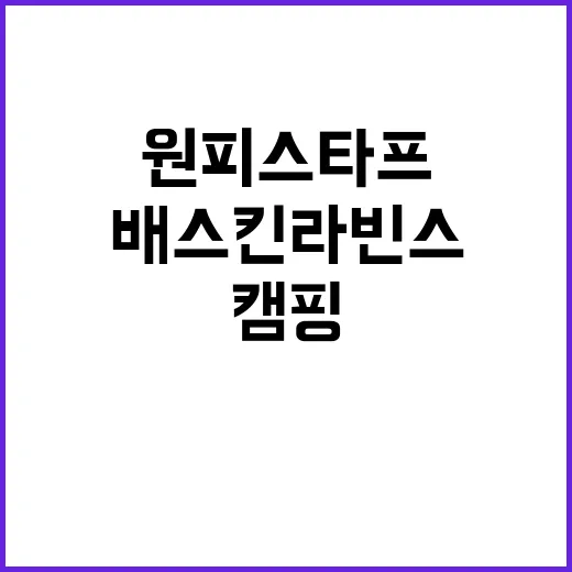 배스킨라빈스 원피스 타프 소식 보고 캠핑 굿즈 욕심난 후기 - 요약