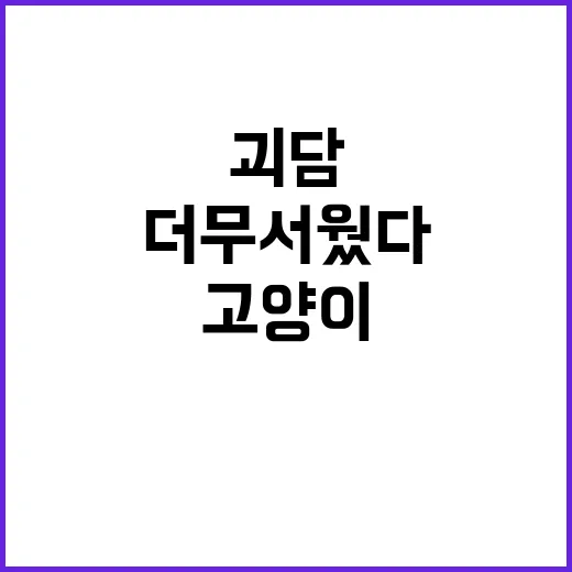 바케네코 편을 다시 봤더니, 고양이 괴담보다 사람 마음이 더 무서웠다 - 요약
