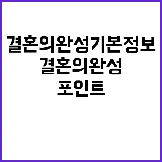 결혼의 완성 기본정보 찾아보다가 느낀 부부 서사의 진짜 관전 포인트 - 요약