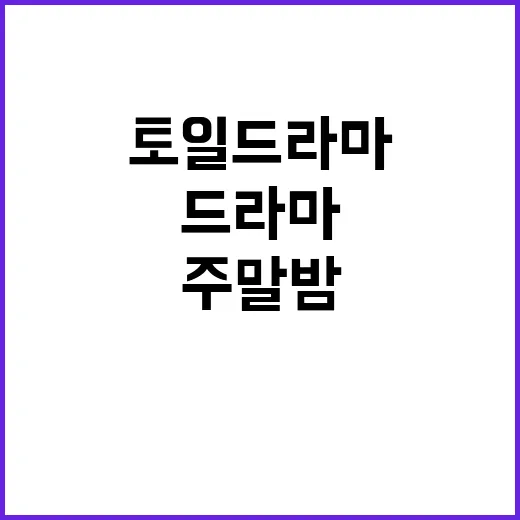 토일드라마 몰아서 봐봤더니 주말 밤이 왜 이렇게 바빠졌는지 알겠더라 - 요약