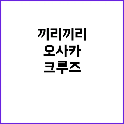 끼리끼리 크루즈, 유부남 셋이 오사카로 떠나면 생기는 일 - 요약