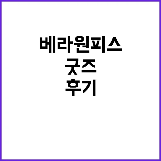 베라 원피스 타프 소식 보고 캠핑 굿즈 각 잡아본 후기 - 요약