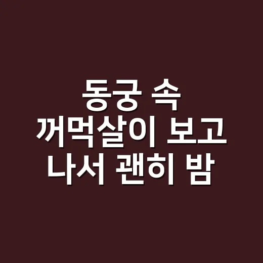 동궁 속 꺼먹살이 보고 나서 괜히 밤길이 신경 쓰였던 후기 - 요약