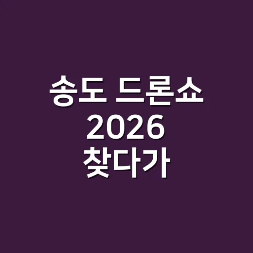 송도 드론쇼 2026 찾다가 축제판까지 훑어본 후기 - 요약
