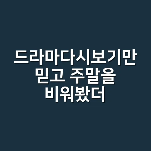 드라마다시보기만 믿고 주말을 비워봤더니 생긴 일 - 요약