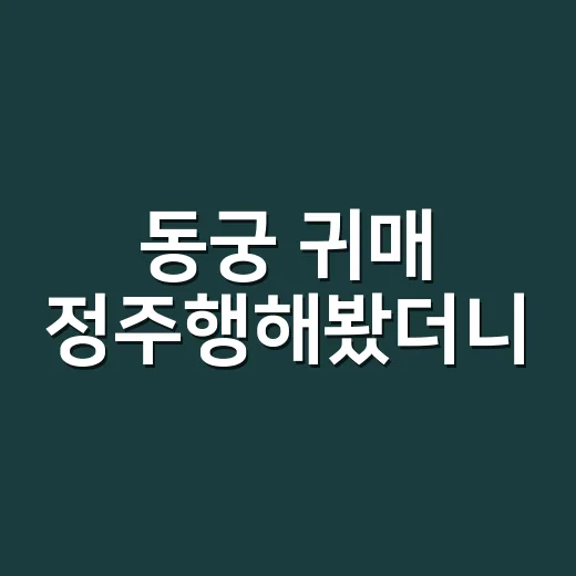 동궁 귀매 정주행해봤더니, 궁궐 오컬트가 생각보다 취향을 많이 탄다 - 요약