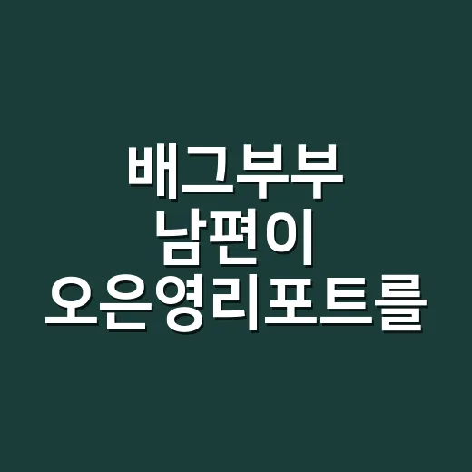 배그부부 남편이 오은영리포트를 다시 찾은 이유를 따라가 봤더니 - 요약