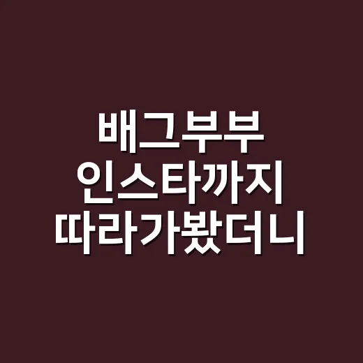 배그부부 인스타까지 따라가봤더니, 방송 밖 이야기가 더 오래 남았다 - 요약