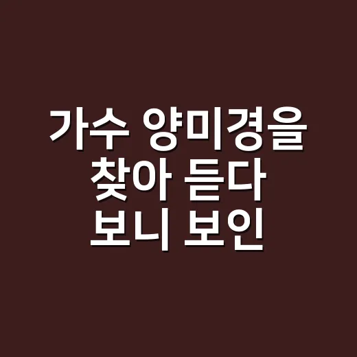 가수 양미경을 찾아 듣다 보니 보인, 잔잔하게 오래 남는 무대의 이야기 - 요약