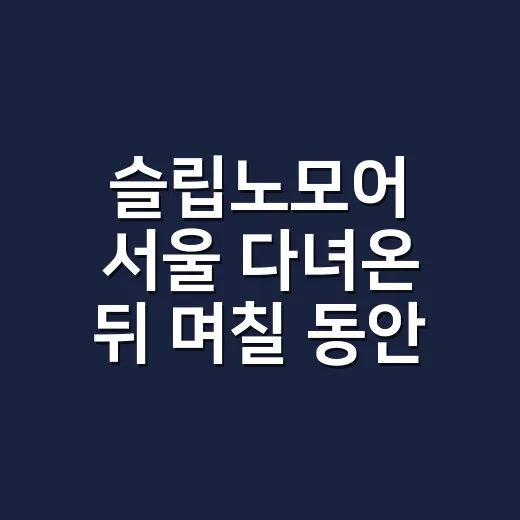 슬립노모어 서울 다녀온 뒤 며칠 동안 매키탄 호텔을 못 빠져나온 후기 - 요약