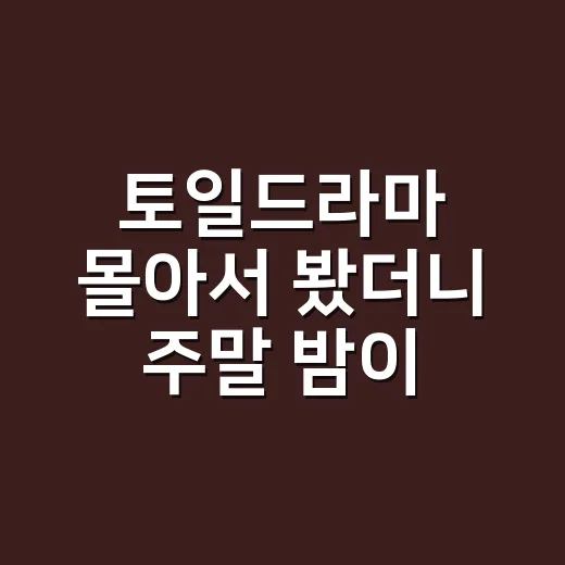 토일드라마 몰아서 봤더니 주말 밤이 왜 이렇게 바쁜지 알겠더라 - 요약