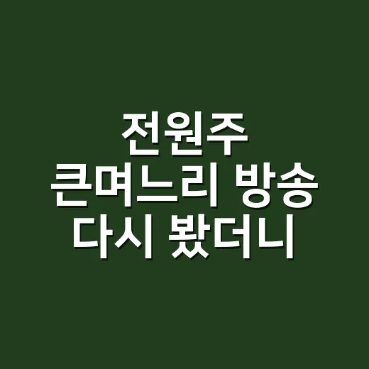 전원주 큰며느리 방송 다시 봤더니, 웃기지만 은근 쓰린 고부 이야기 - 요약