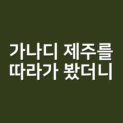 가나디 제주를 따라가 봤더니, 강아지보다 내가 더 힐링한 후기 - 요약