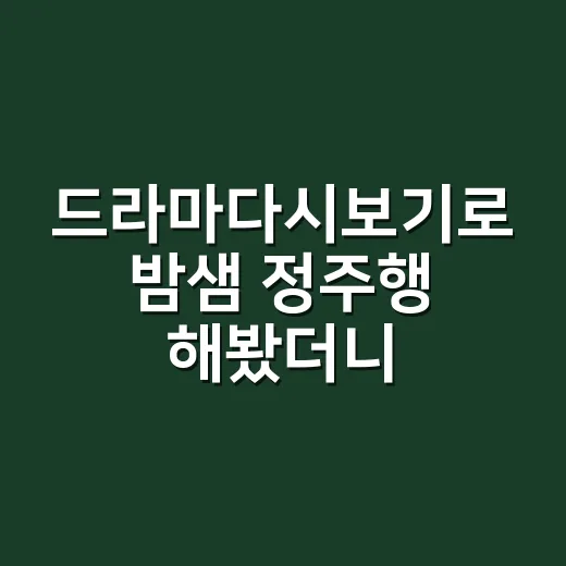 드라마다시보기로 밤샘 정주행 해봤더니 남는 건 취향표였다 - 요약