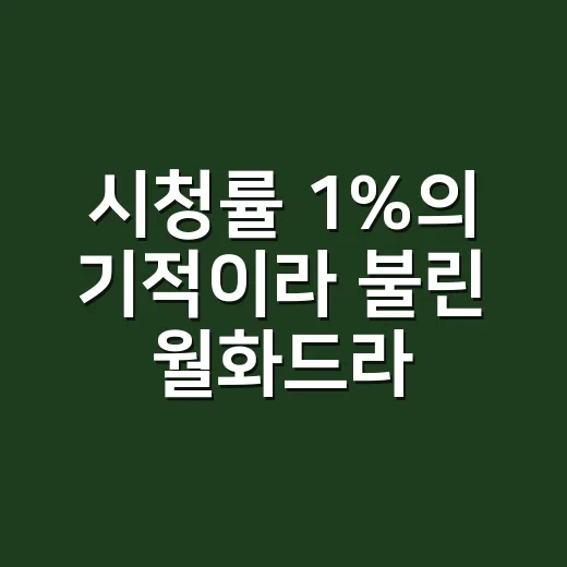 시청률 1%의 기적이라 불린 월화드라마를 정주행했더니 보인 진짜 힘 - 요약