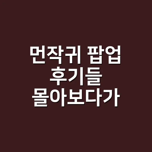 먼작귀 팝업 후기들 몰아보다가 알게 된, 귀여움 뒤의 진짜 관전 포인트 - 요약