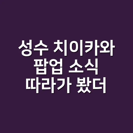 성수 치이카와 팝업 소식 따라가 봤더니, 스시 콘셉트가 팬심을 제대로 건드렸다 - 요약