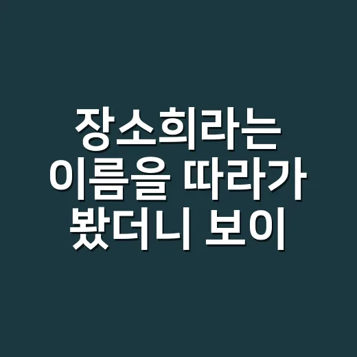 장소희라는 이름을 따라가 봤더니 보이는 드라마 캐릭터의 진짜 맛 - 요약
