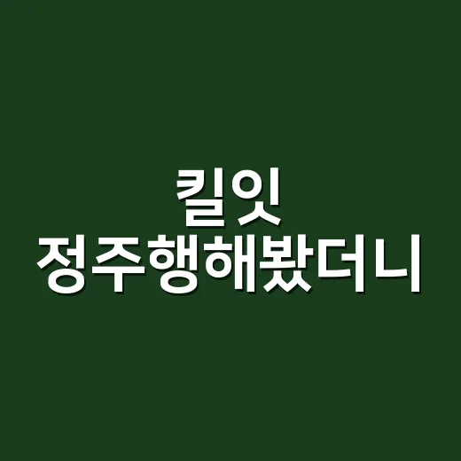 킬잇 정주행해봤더니, 차가운 액션보다 더 오래 남은 건 상처였다 - 요약