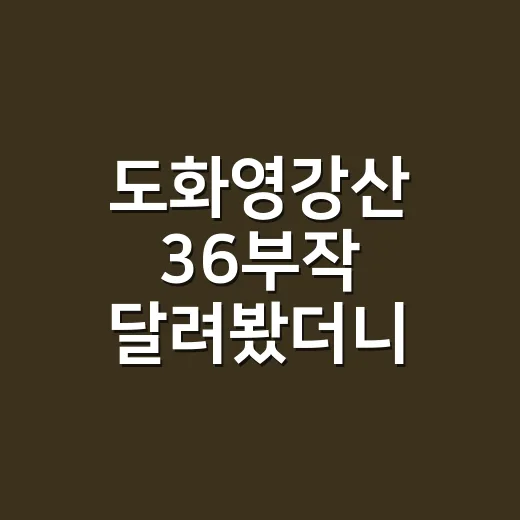 도화영강산 36부작 달려봤더니, 정치극보다 로맨스 신경전이 더 오래 남았다 - 요약