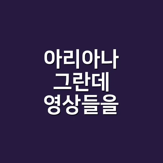 아리아나 그란데 영상들을 몰아서 봤더니 보컬보다 먼저 보인 것들 - 요약