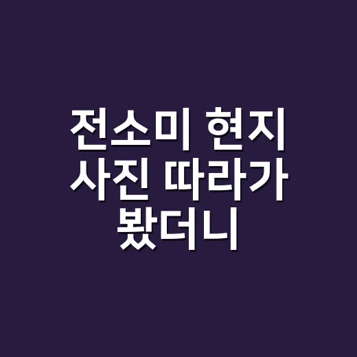 전소미 현지 사진 따라가 봤더니, 왜 분위기가 후끈했는지 알겠더라 - 요약