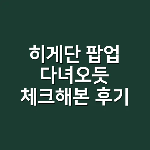 히게단 팝업 다녀오듯 체크해본 후기, 공연 전 성수에서 먼저 달아오르는 포인트 - 요약