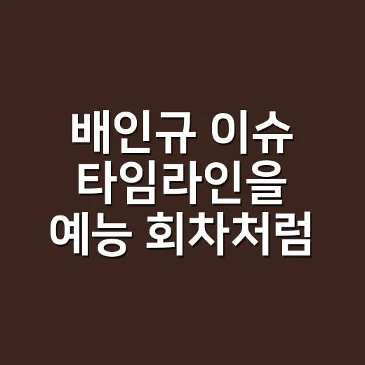 배인규 이슈 타임라인을 예능 회차처럼 따라가봤더니 남는 장면들 - 요약