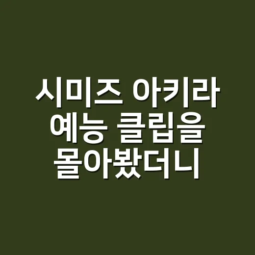 시미즈 아키라 예능 클립을 몰아봤더니 웃음 뒤에 장인의 고집이 보였다 - 요약
