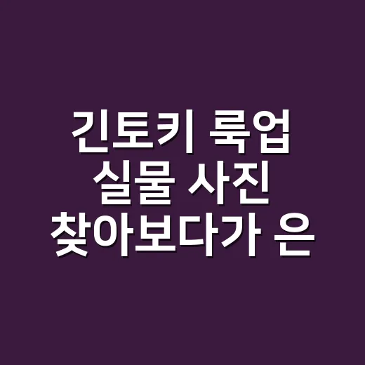 긴토키 룩업 실물 사진 찾아보다가 은혼 정주행까지 다시 달린 후기 - 요약