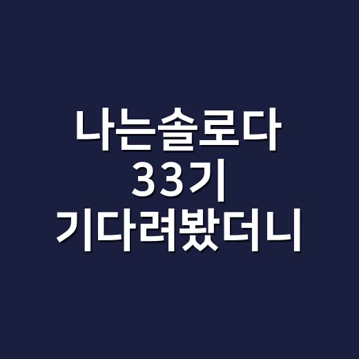 나는솔로다 33기 기다려봤더니, 32기 후유증 때문에 더 궁금해진 진짜 이유 - 요약