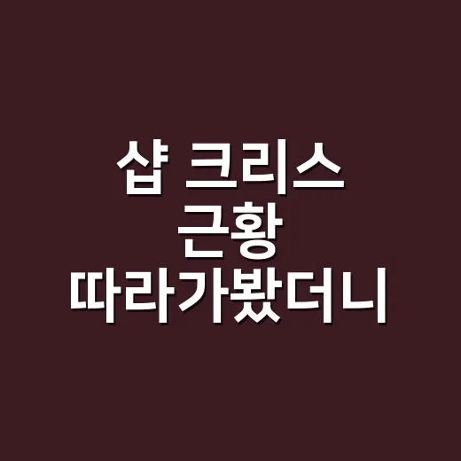 샵 크리스 근황 따라가봤더니, 슈가맨보다 더 진한 90년대 추억이 있었다 - 요약