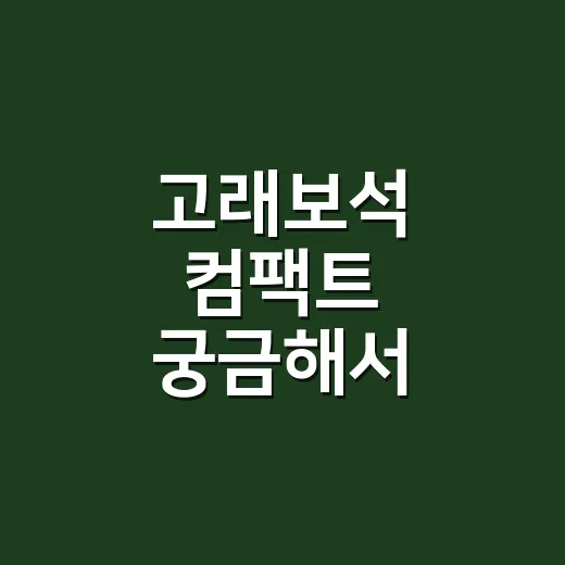고래보석 컴팩트 궁금해서 찾아봤더니, 이름보다 더 묘하게 끌리는 포인트들 - 요약