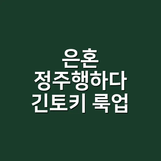 은혼 정주행하다 긴토키 룩업 한정판까지 찾아본 후기 - 요약